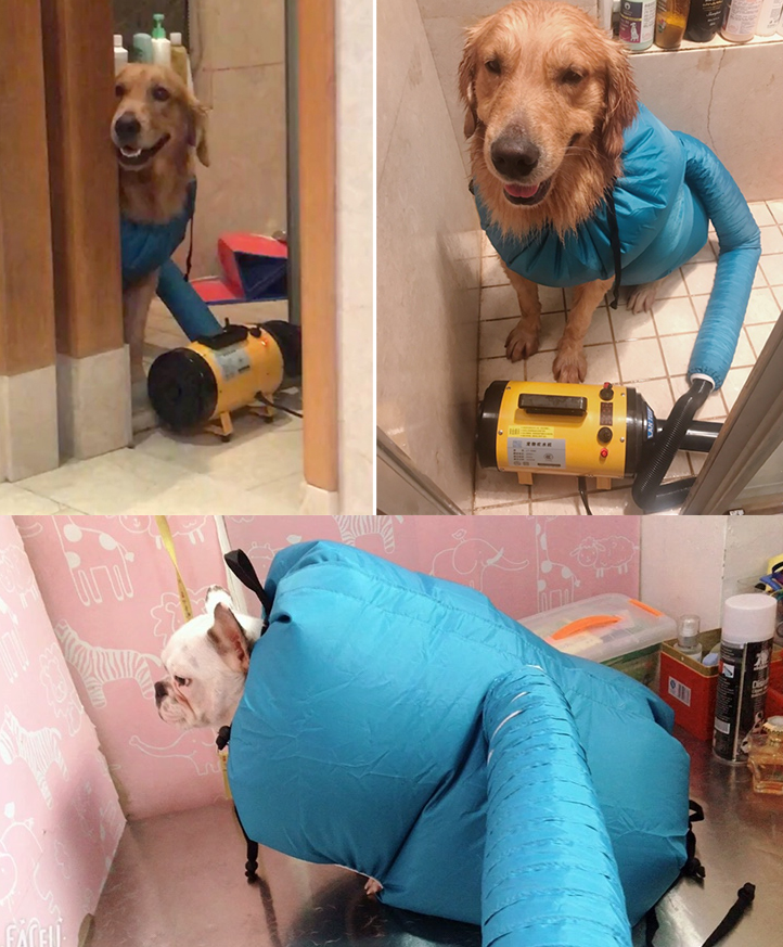 Pet Grooming Dryer Box