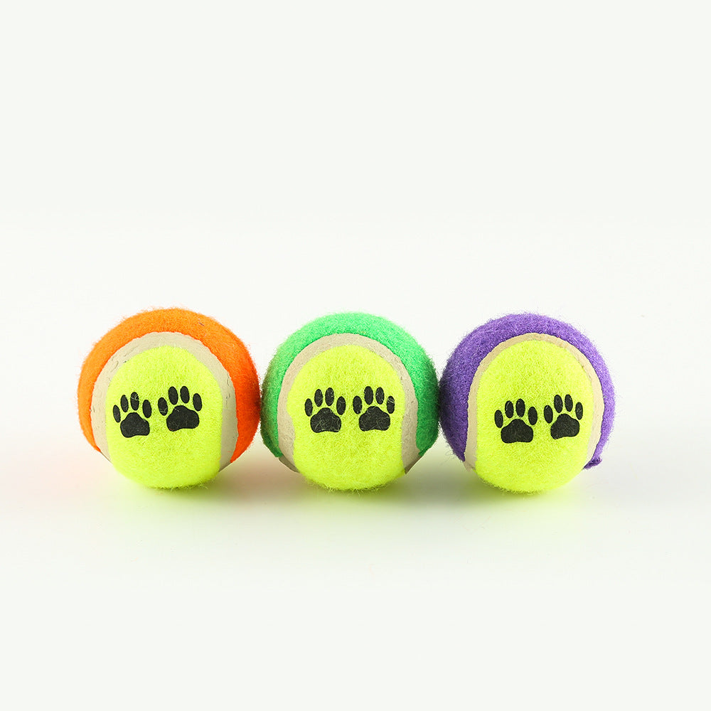 Outdoor Dog Fetch Trainer Toy