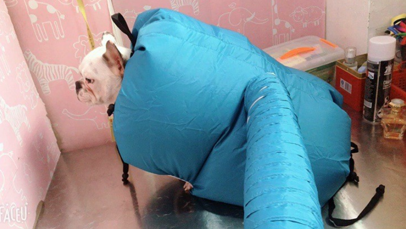 Pet Grooming Dryer Box